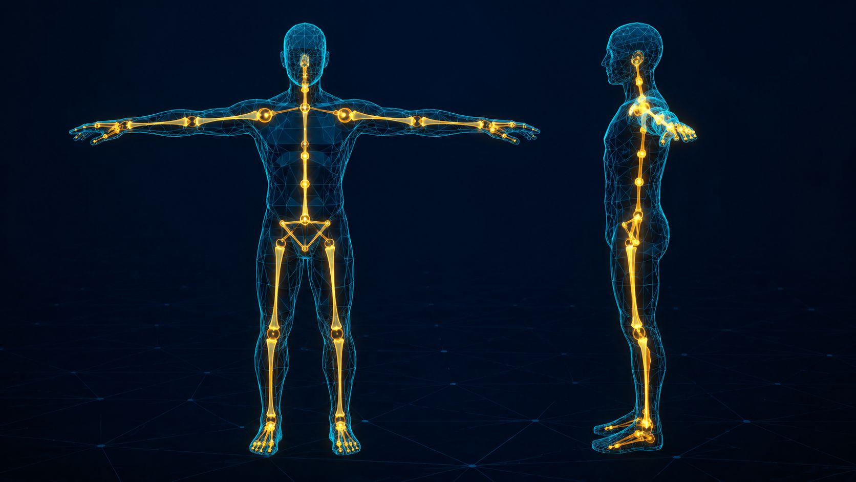 Abstract visualization of a character mesh overlaid with a bone skeleton armature in Blender