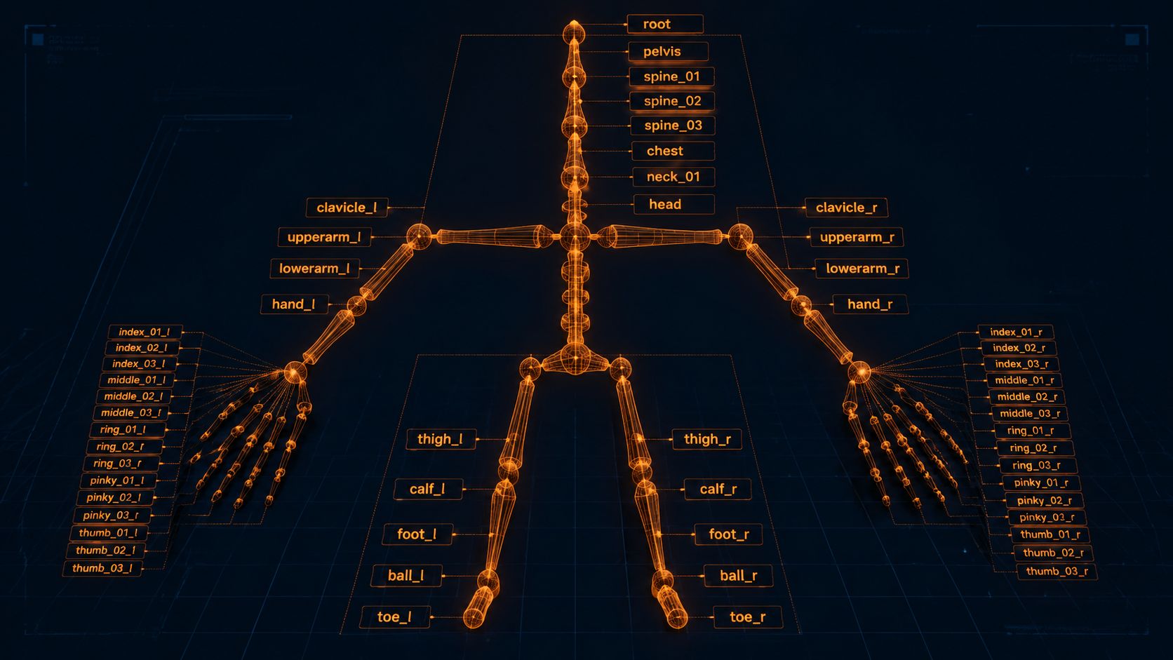 A manual bone hierarchy in Blender Edit Mode with named bones for the spine, legs, and arms