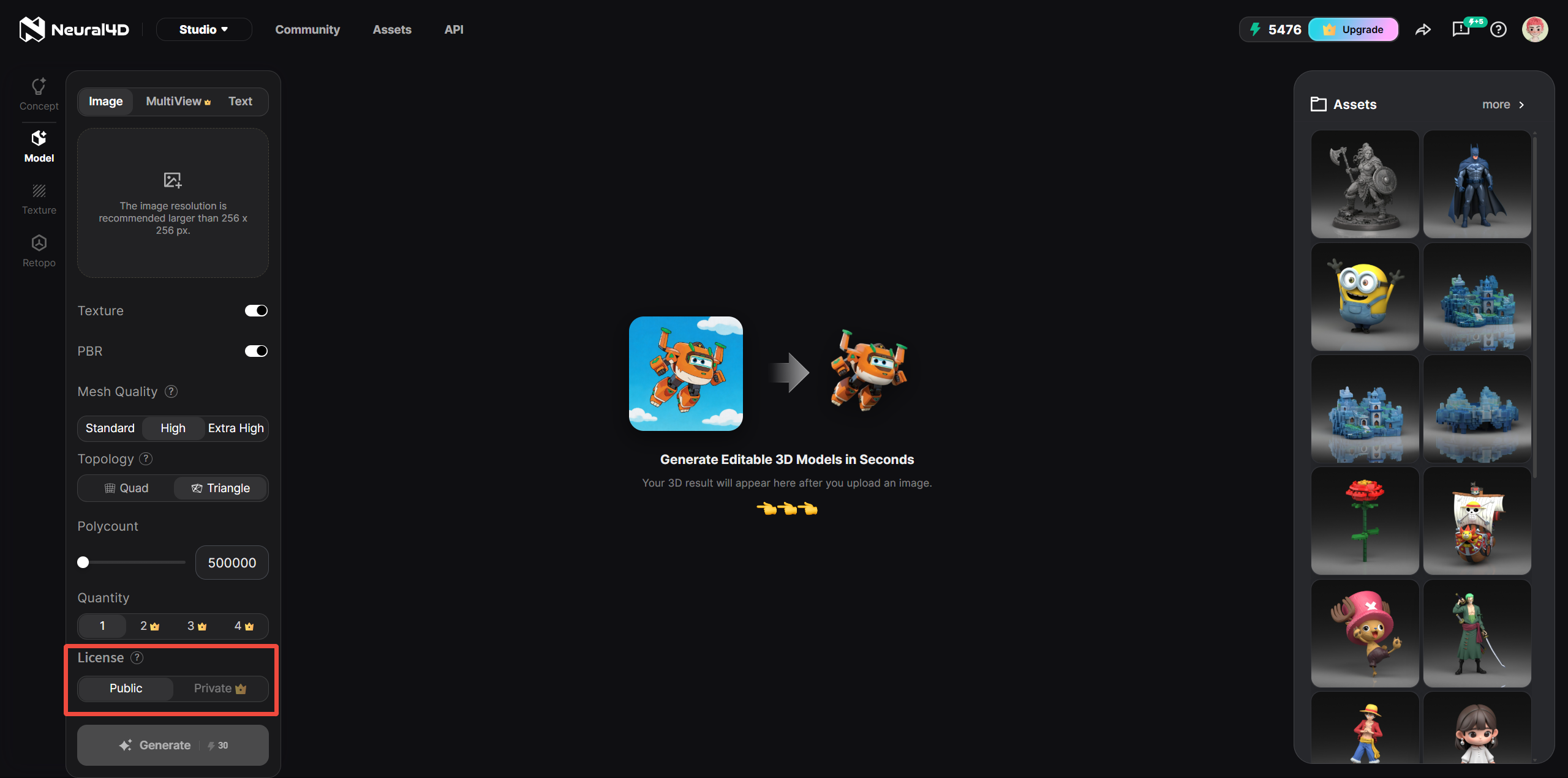 Neural4D License Settings