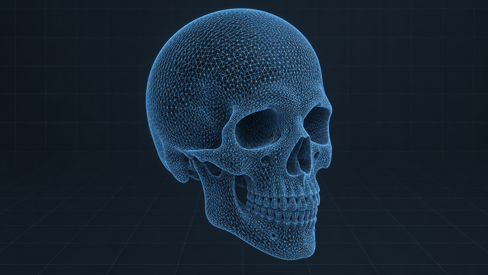 A wireframe topology view of a skull mesh on a dark background, showing even triangle distribution across the cranial vault and thin structural geometry at the cheekbones