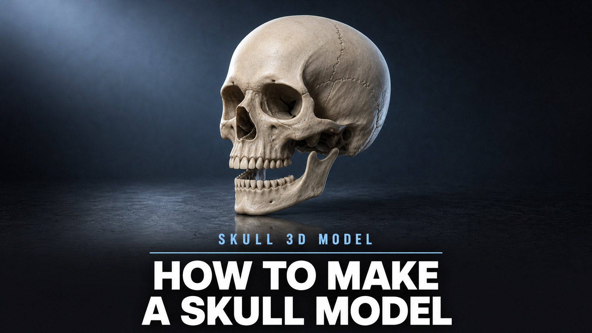 A 3D skull model rendered in three-quarter view above a dark reflective surface, with the title How to Make a Skull Model